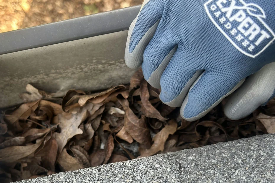 Gutter Cleaning Mount Juliet, TN