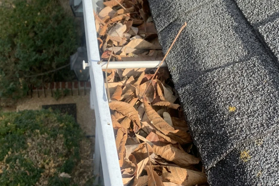 Gutter Cleaning Mount Juliet, TN